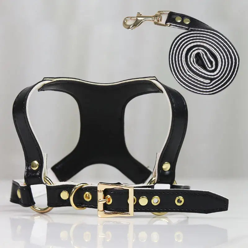 Traction Suit for Small and Medium Dog Leash