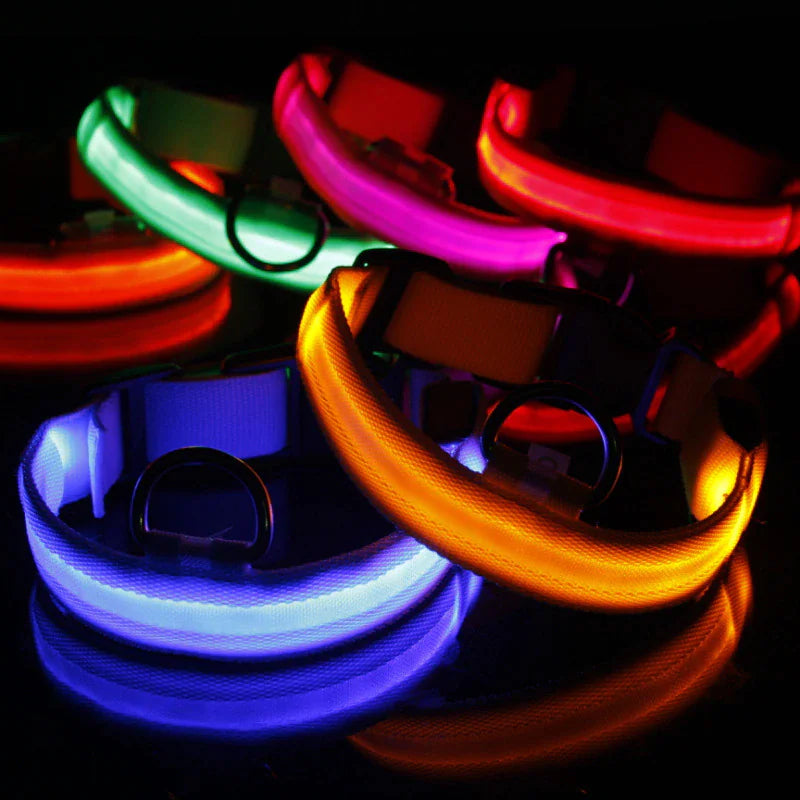 Glowing LED Dog Collar - Waterproof Safety Light