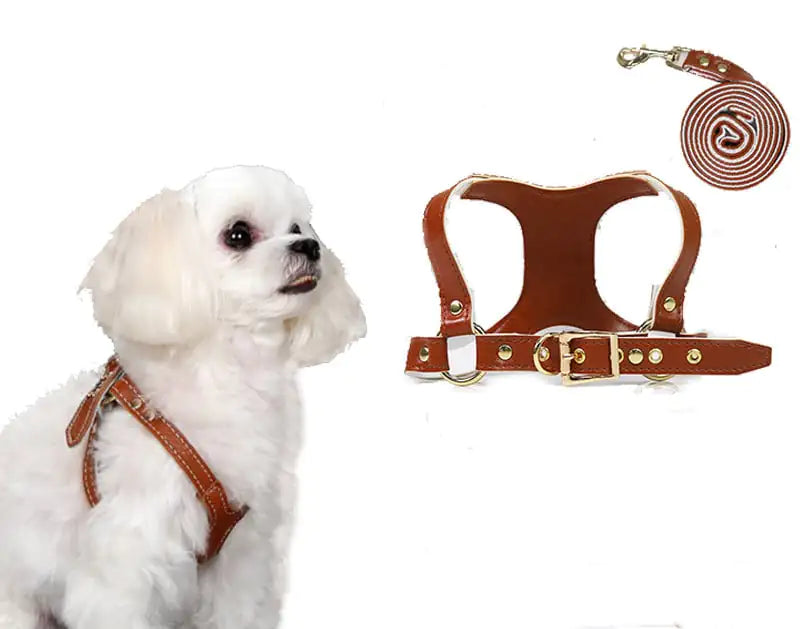 Traction Suit for Small and Medium Dog Leash
