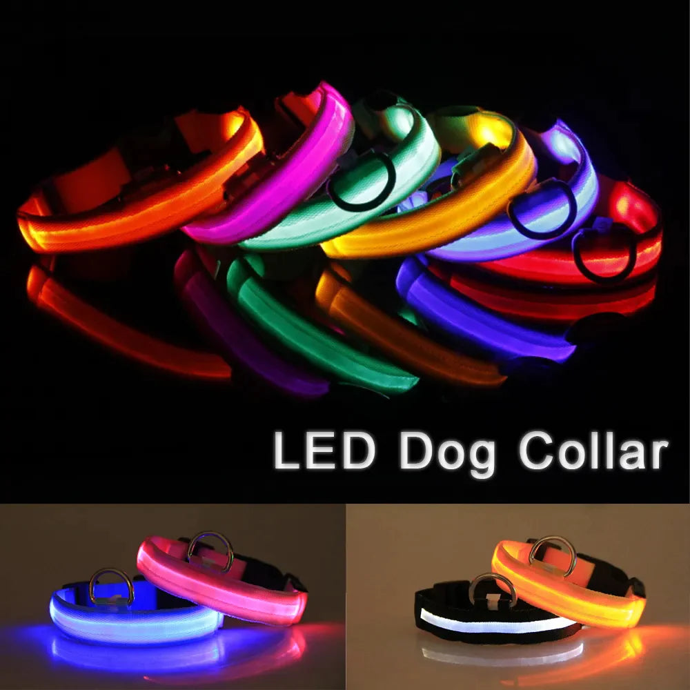 Glowing LED Dog Collar - Waterproof Safety Light