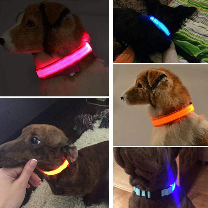 Glowing LED Dog Collar - Waterproof Safety Light