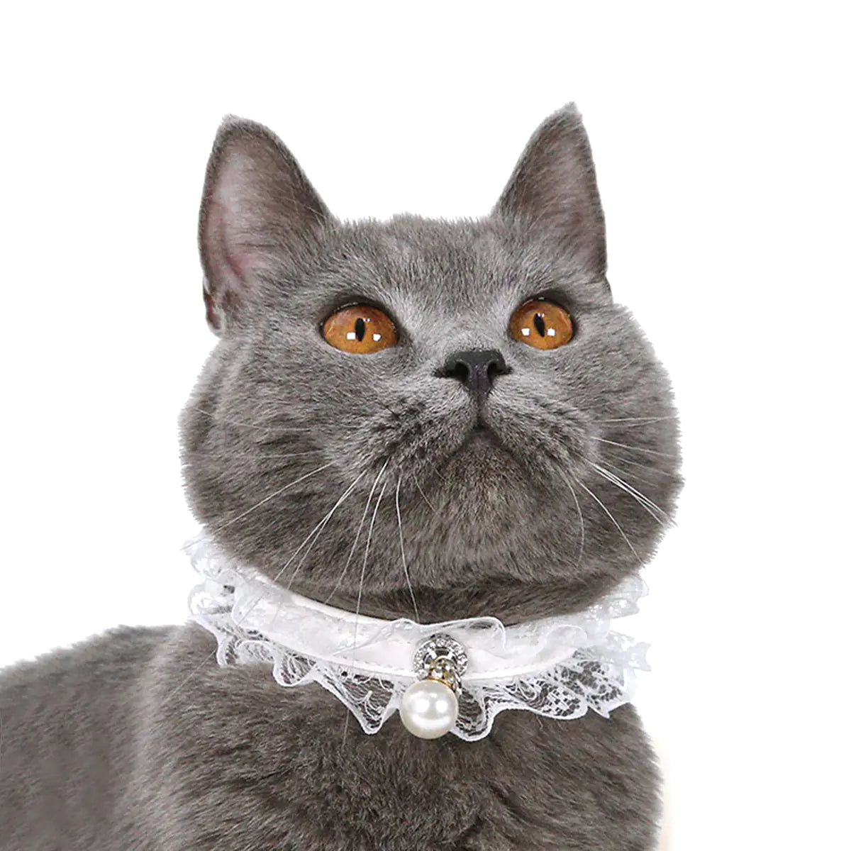 Adjustable Cat Collar with Bell and Lace Design