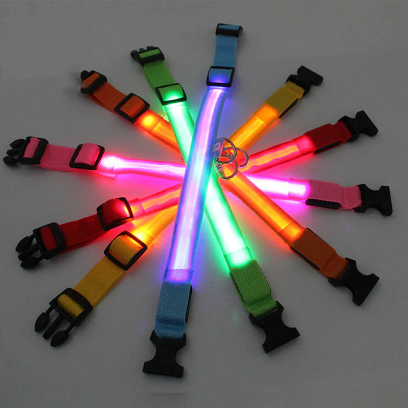 Glowing LED Dog Collar - Waterproof Safety Light