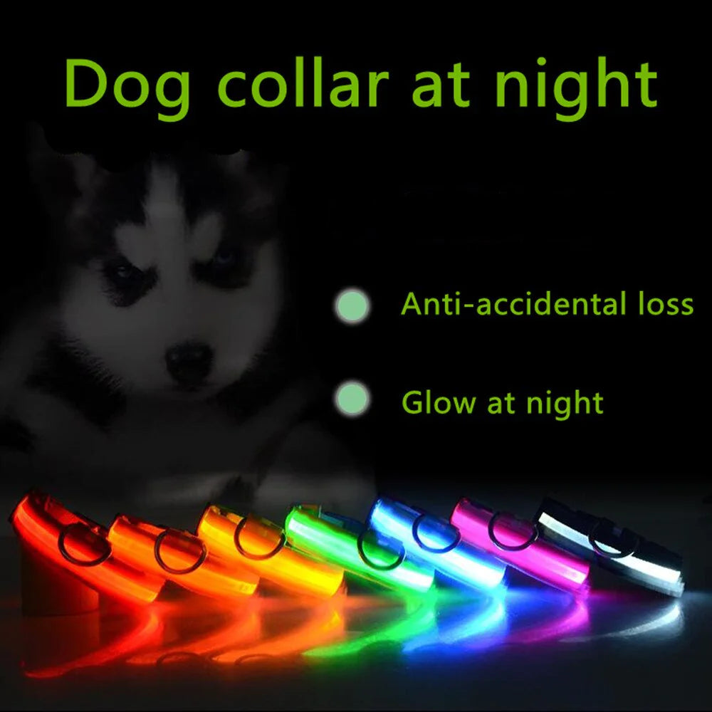 Glowing LED Dog Collar - Waterproof Safety Light