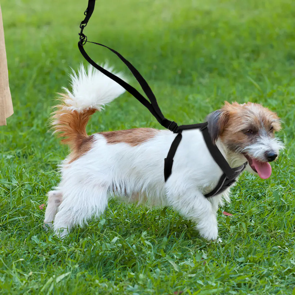 Breathable Nylon Reflective Dog Strap