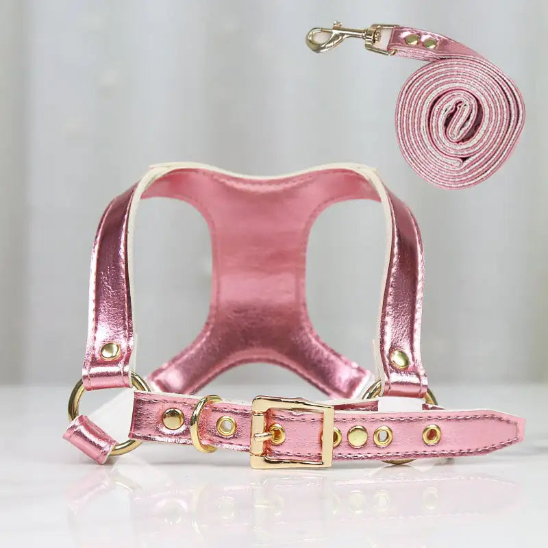 Traction Suit for Small and Medium Dog Leash