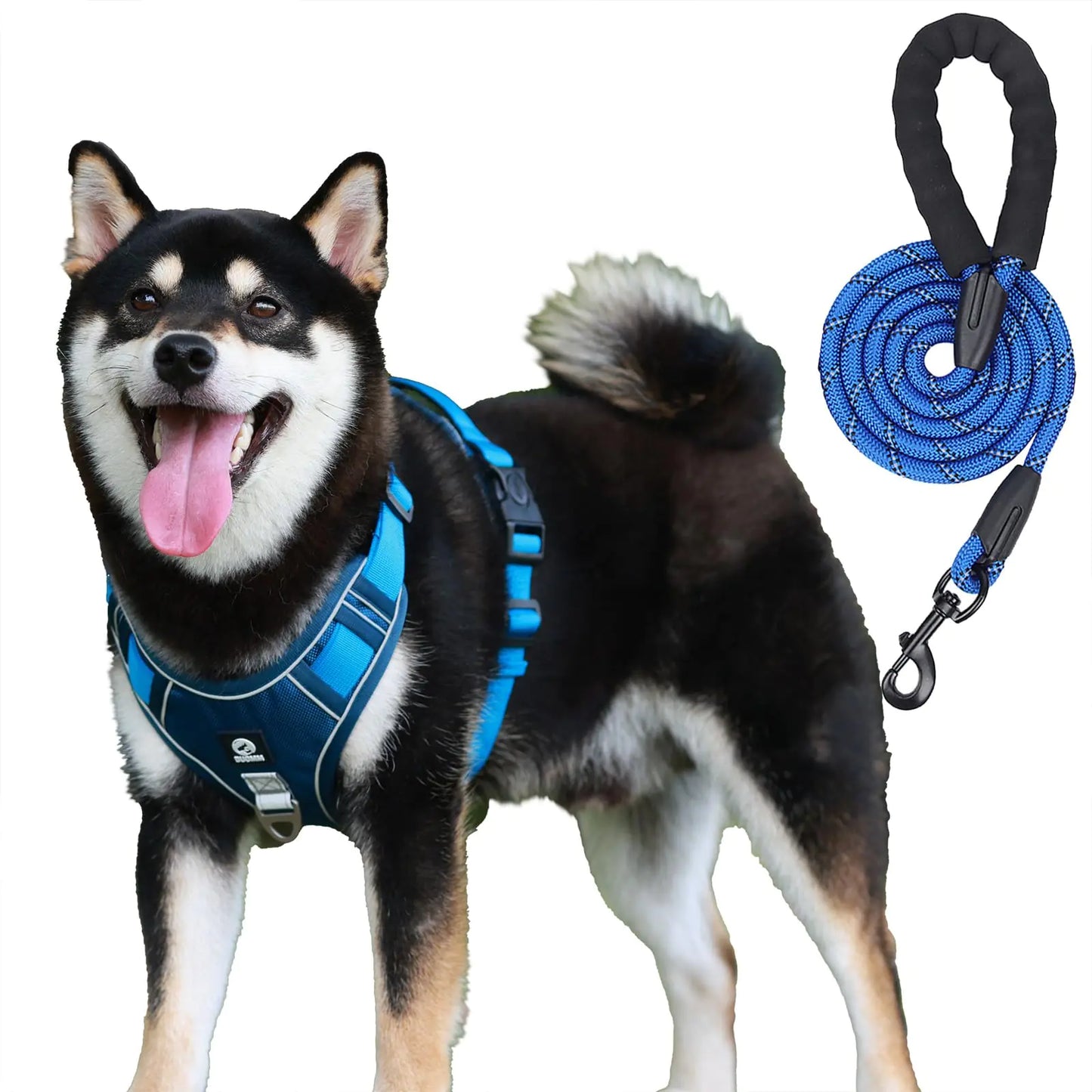 EZYControl Adjustable Dog Harness & Leash Set
