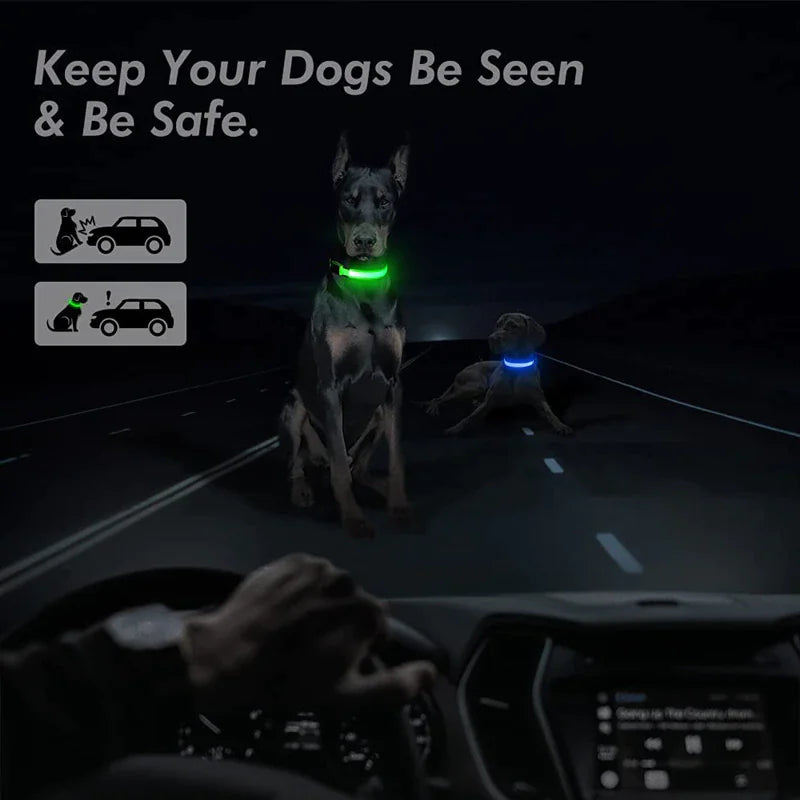 Glowing LED Dog Collar - Waterproof Safety Light