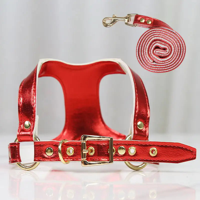 Traction Suit for Small and Medium Dog Leash