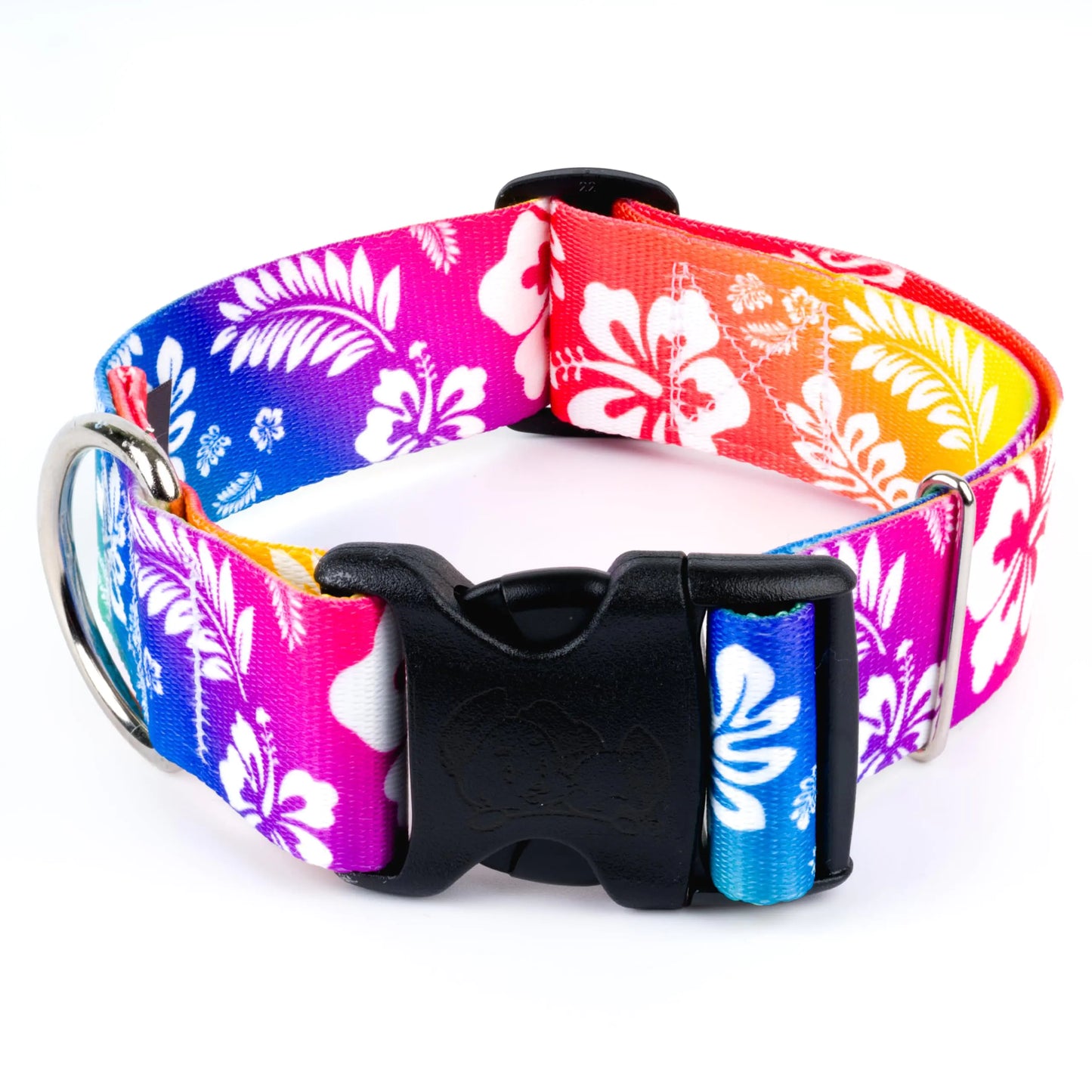 Deluxe Tropical Dog Collar - Hawaiian Rainbow Medium (1.5 Inch)