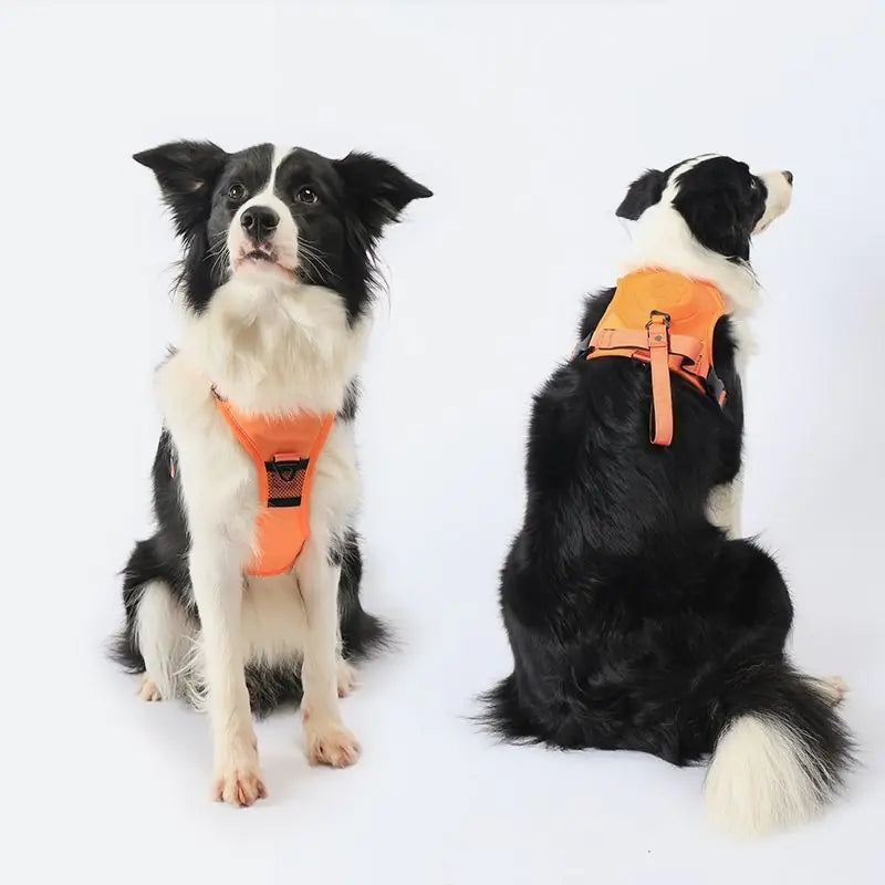 Integrated Dog Vest with Hand Holding Rope for Puppies