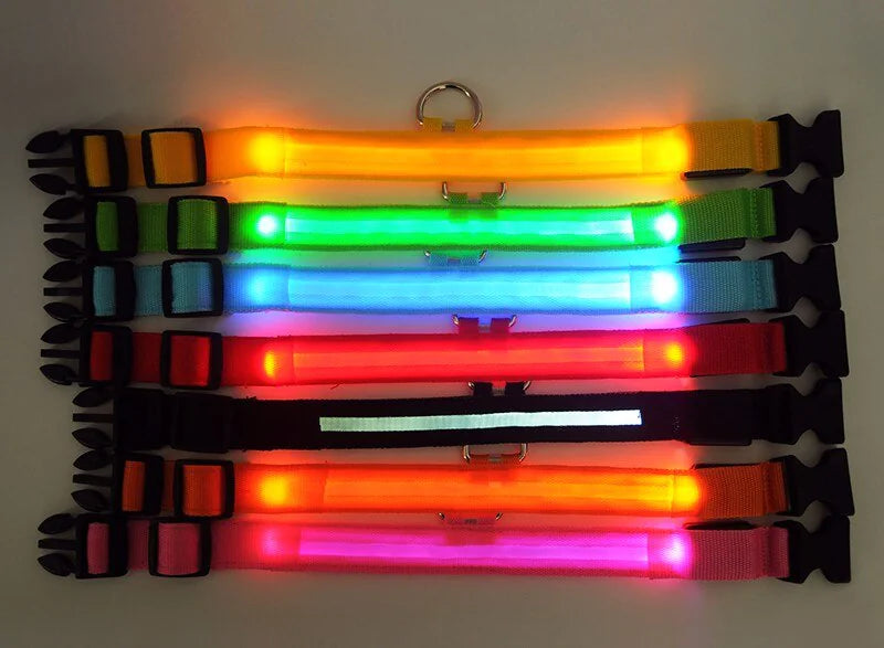 Glowing LED Dog Collar - Waterproof Safety Light
