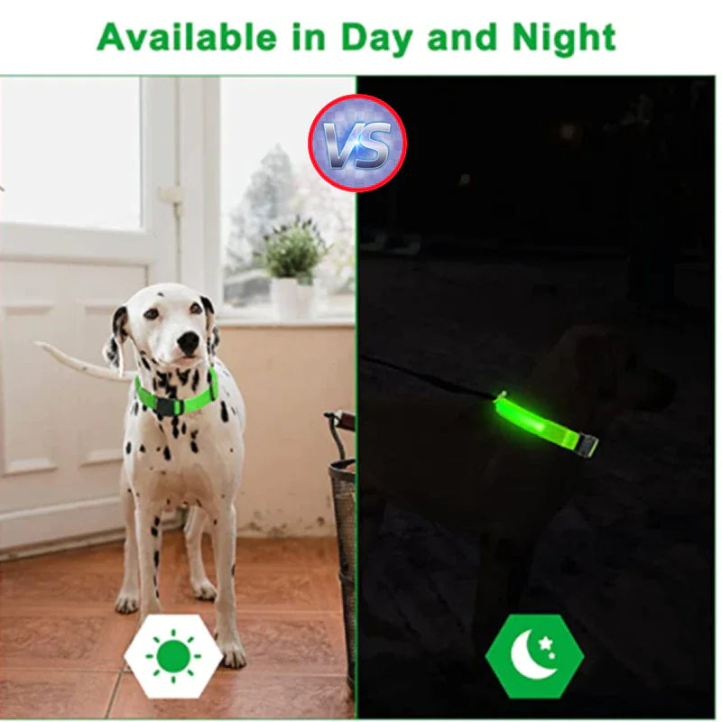 Glowing LED Dog Collar - Waterproof Safety Light