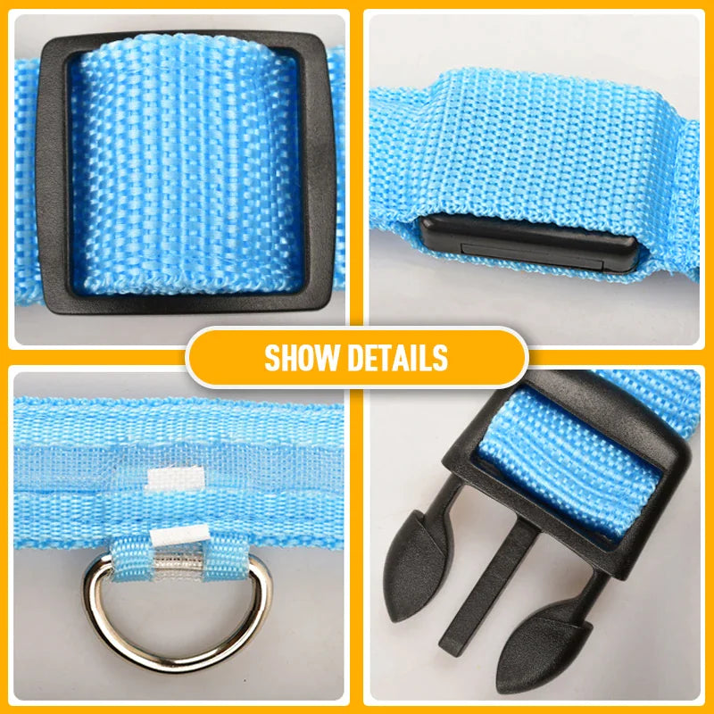Glowing LED Dog Collar - Waterproof Safety Light