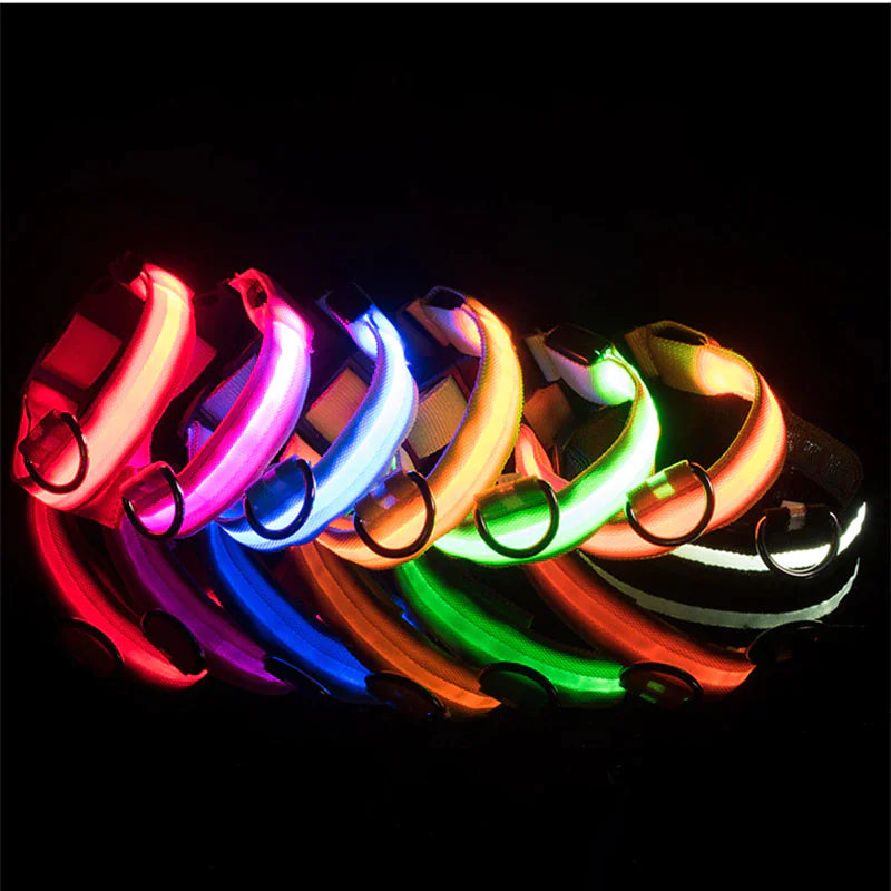 Glowing LED Dog Collar - Waterproof Safety Light