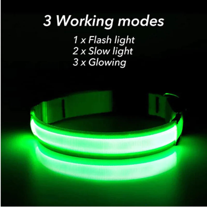 Glowing LED Dog Collar - Waterproof Safety Light