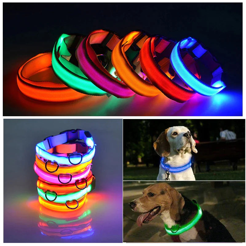 Glowing LED Dog Collar - Waterproof Safety Light