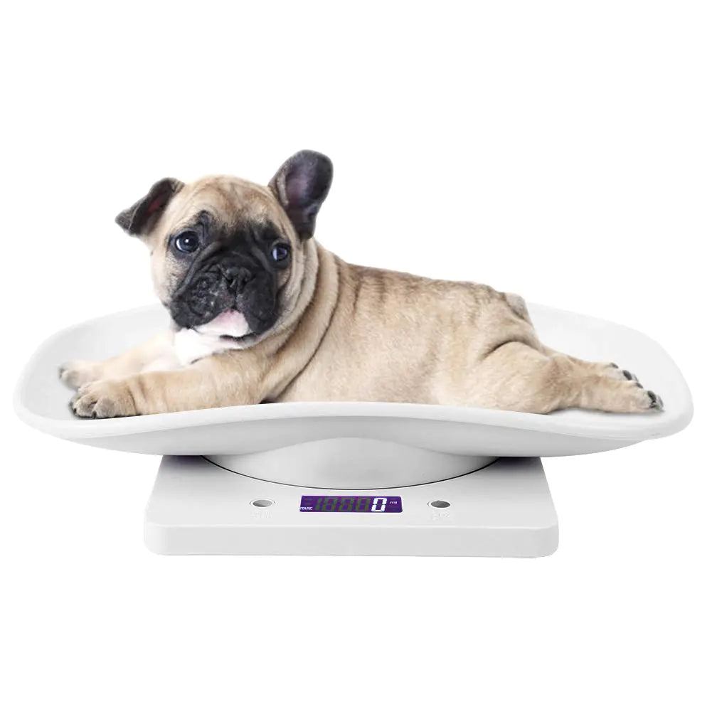 AccuWeight Mini Pet and Infant Scale