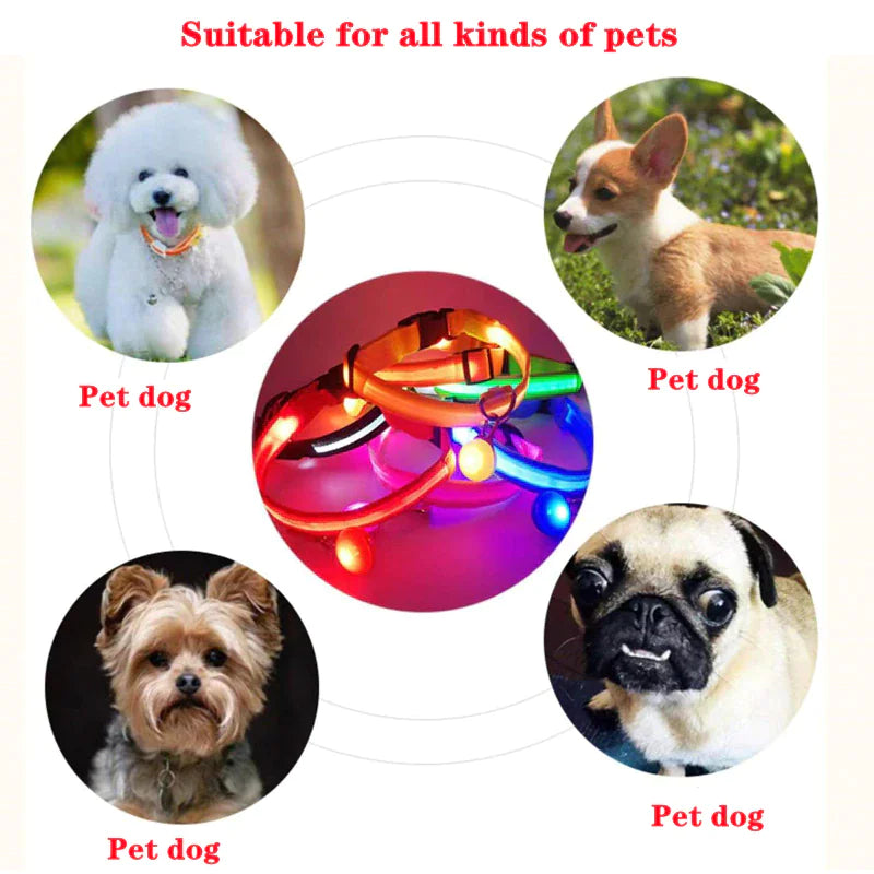 Glowing LED Dog Collar - Waterproof Safety Light