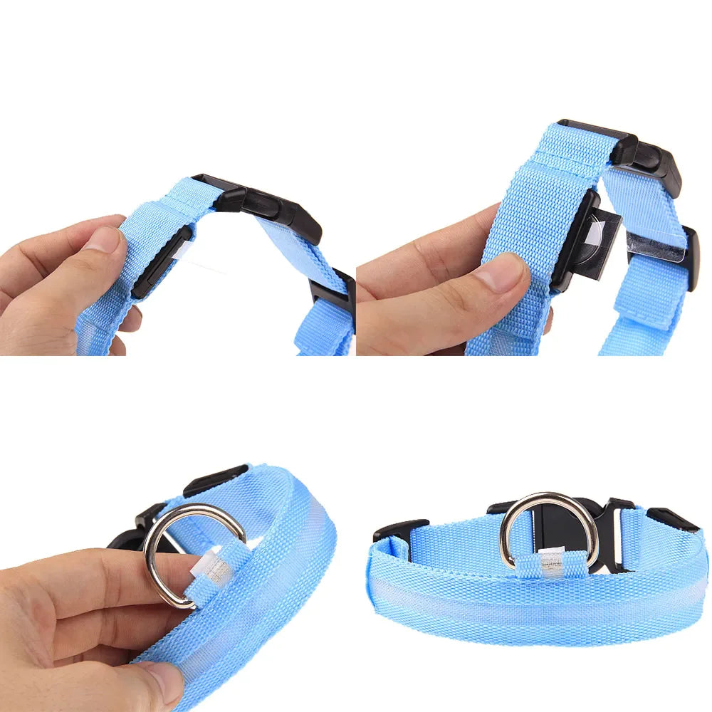 Glowing LED Dog Collar - Waterproof Safety Light