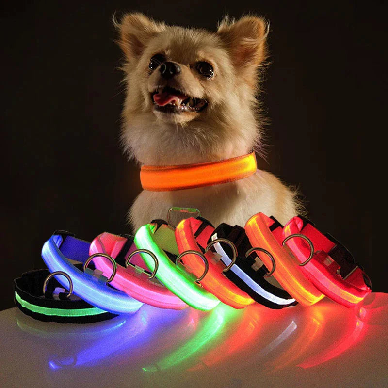 Glowing LED Dog Collar - Waterproof Safety Light
