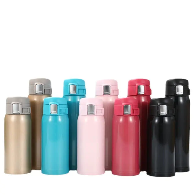 Stainless Steel Insulated Water Bottle