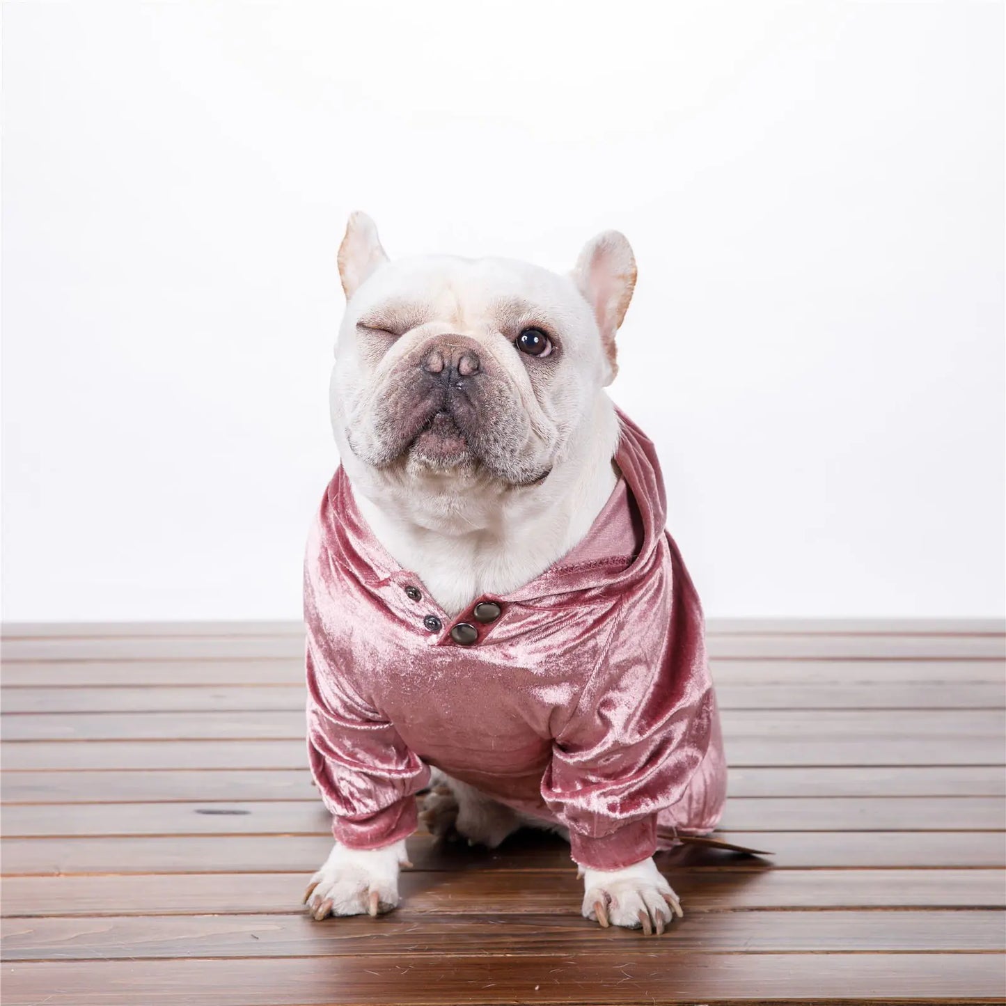 Dense Velvet Hooded Sweater for Dogs - Fall/Winter
