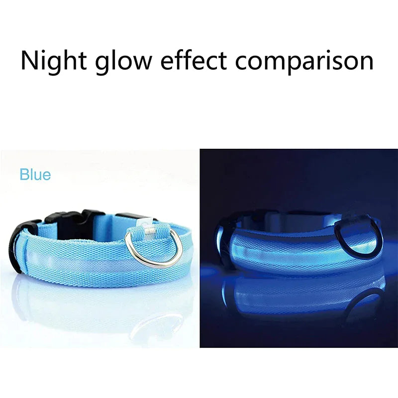 Glowing LED Dog Collar - Waterproof Safety Light