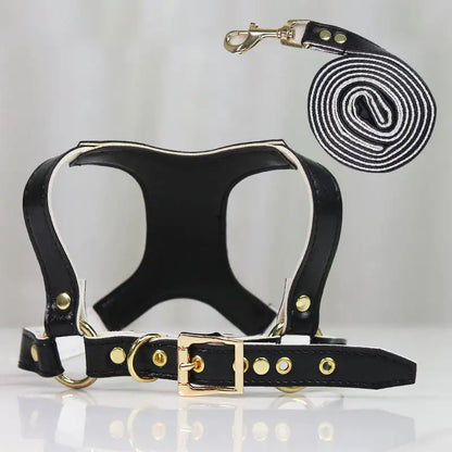 Traction Suit for Small and Medium Dog Leash