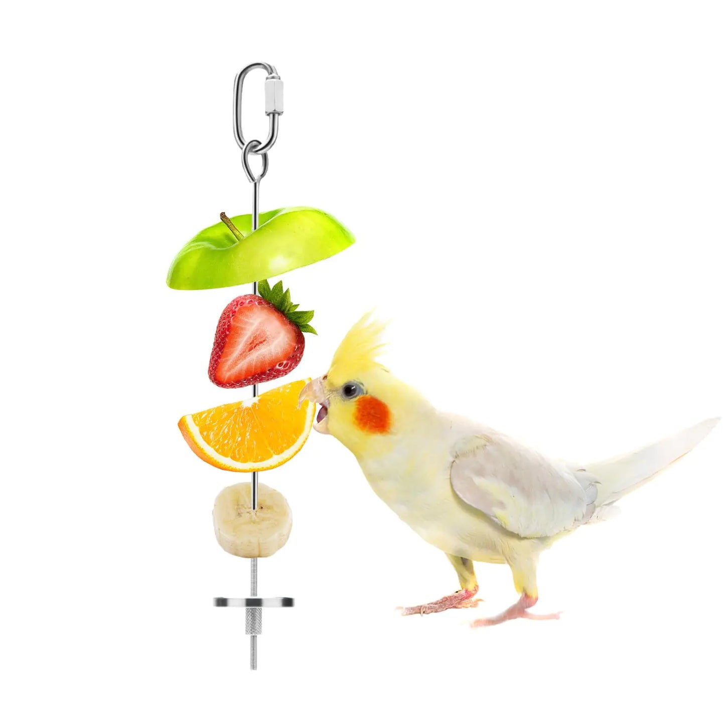 Stainless Steel Bird Treat Skewer, Large 7.86"
