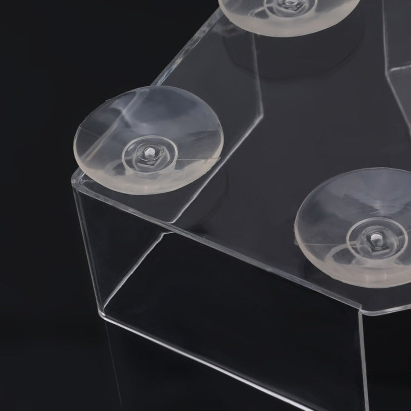 Transparent Outdoor Bird Feeder