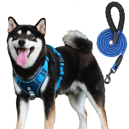 EZYControl Adjustable Dog Harness & Leash Set