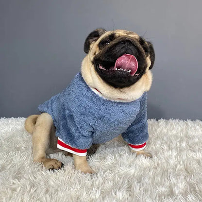 Pet Sweater for Dogs and Cats