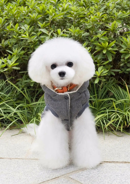 Cozy Cotton Dog Outfit for Autumn/Winter