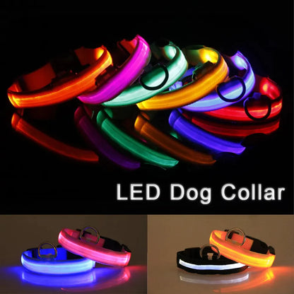 Glowing LED Dog Collar - Waterproof Safety Light