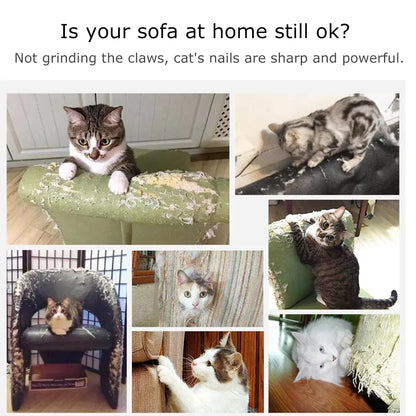 Cat Scratch Shield for Sofas & Tables