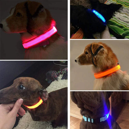 Glowing LED Dog Collar - Waterproof Safety Light