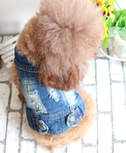 Chic Pet Denim Vest for Warm Seasons