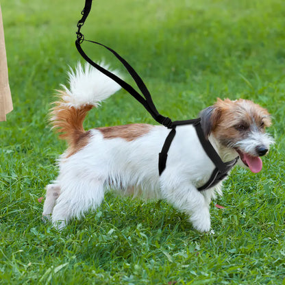 Breathable Nylon Reflective Dog Strap