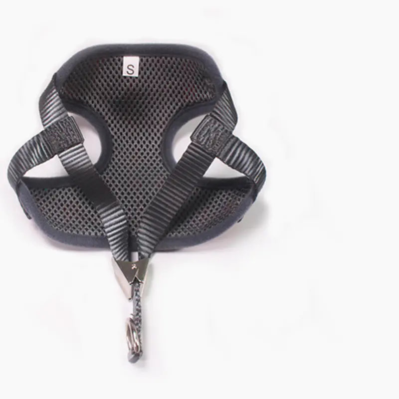 Small Dog Walk Gear Set