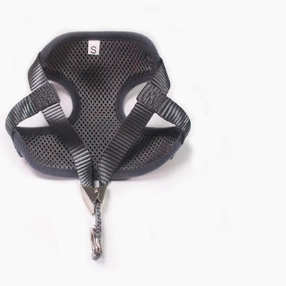 Small Dog Walk Gear Set