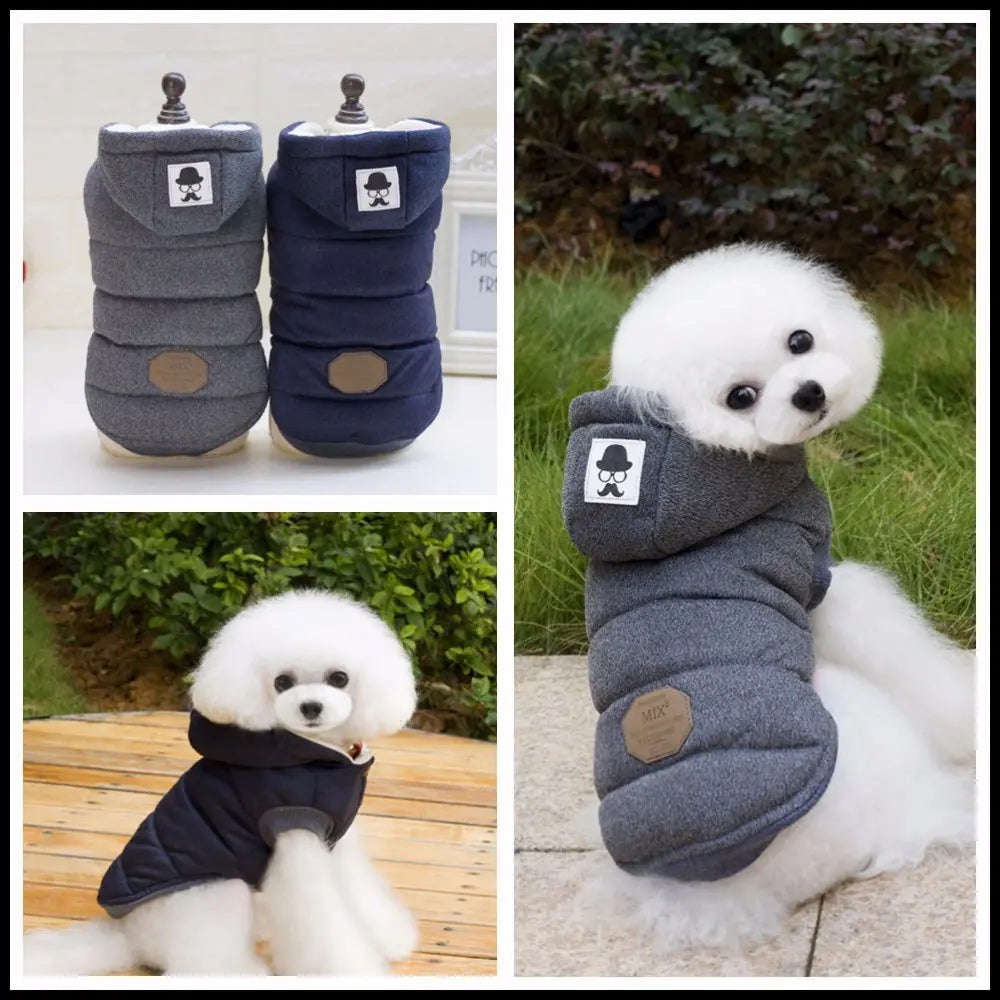 Cozy Cotton Dog Outfit for Autumn/Winter