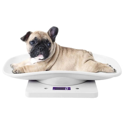 AccuWeight Mini Pet and Infant Scale