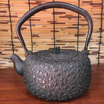 Classic Cast Iron Teapot