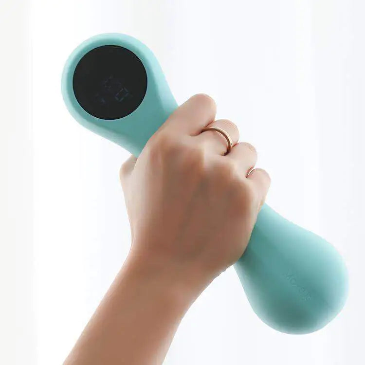 FitSmart Home Weights