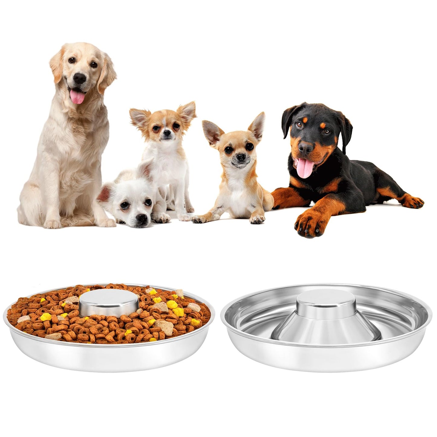 Stainless Steel Slow Feed Pet Bowls Dual Pack