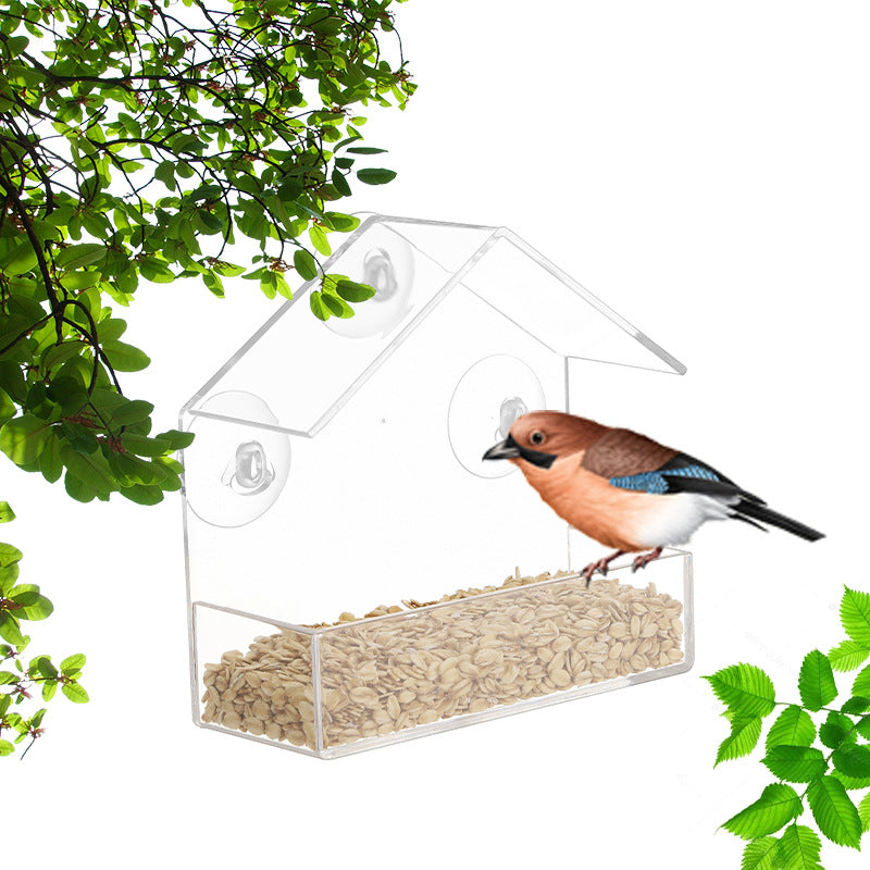 Transparent Outdoor Bird Feeder