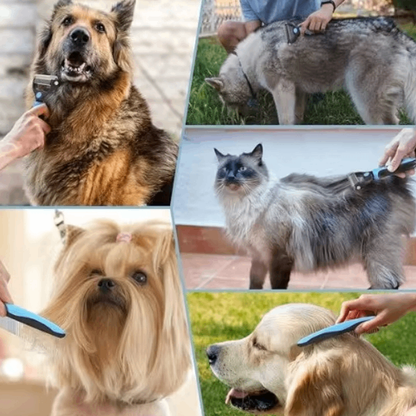 Dual-Sided Professional Pet Brush