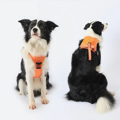 Integrated Dog Vest with Hand Holding Rope for Puppies
