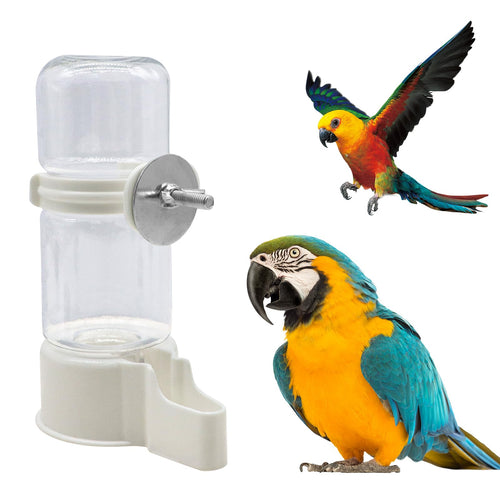 Bird Water Dispenser